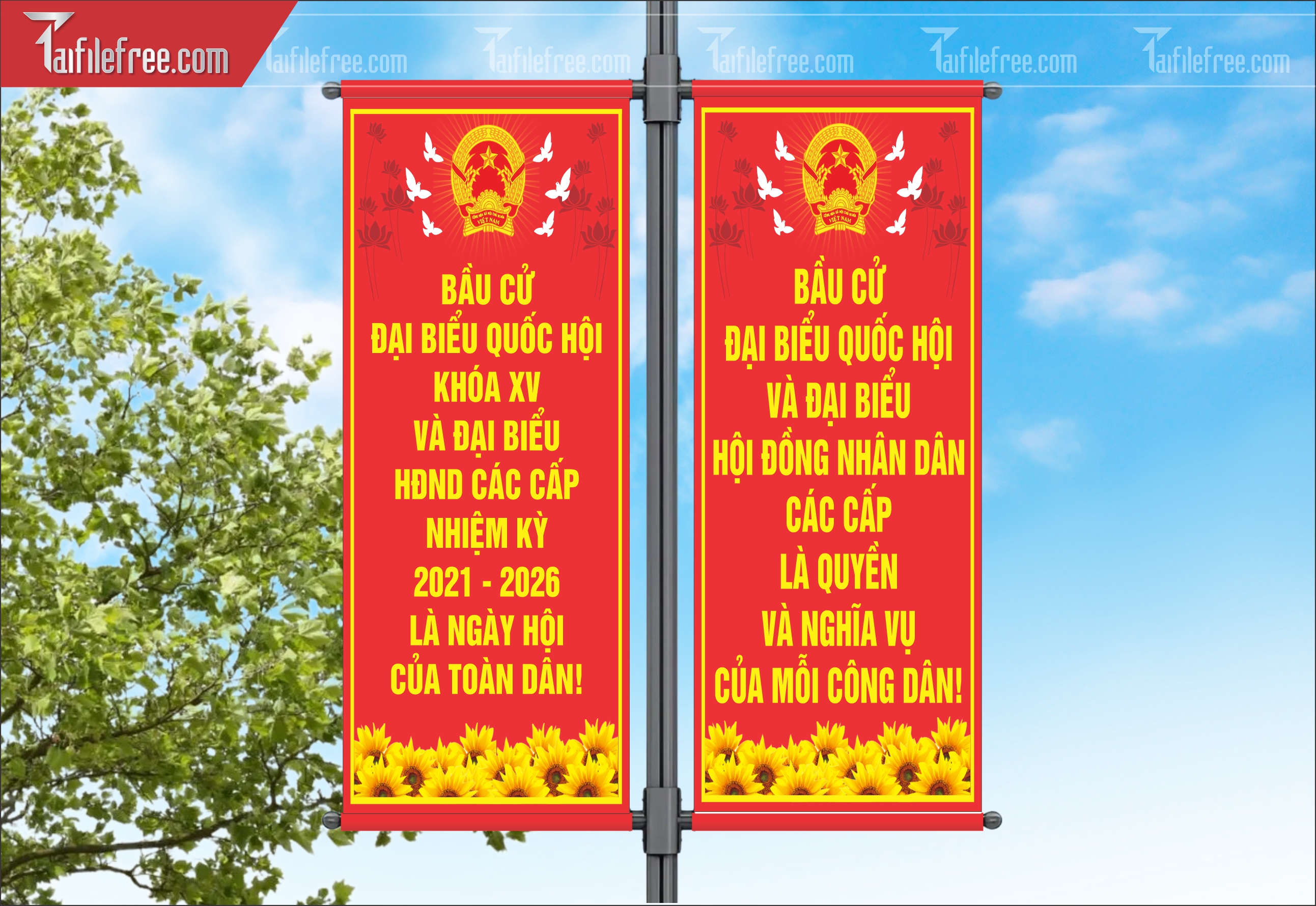 Phướn, Bầu Cử Đại Biểu Quốc Hội_TD330